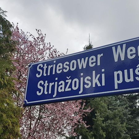 2 Raum Gartenwohnung Am Spreewaldradweg In Котбус Екстериор снимка
